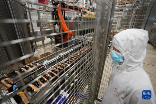当冰淇淋遇上智能制造 探秘日产900万支的“灯塔工厂”